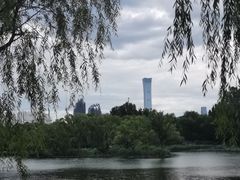 -朝阳公园