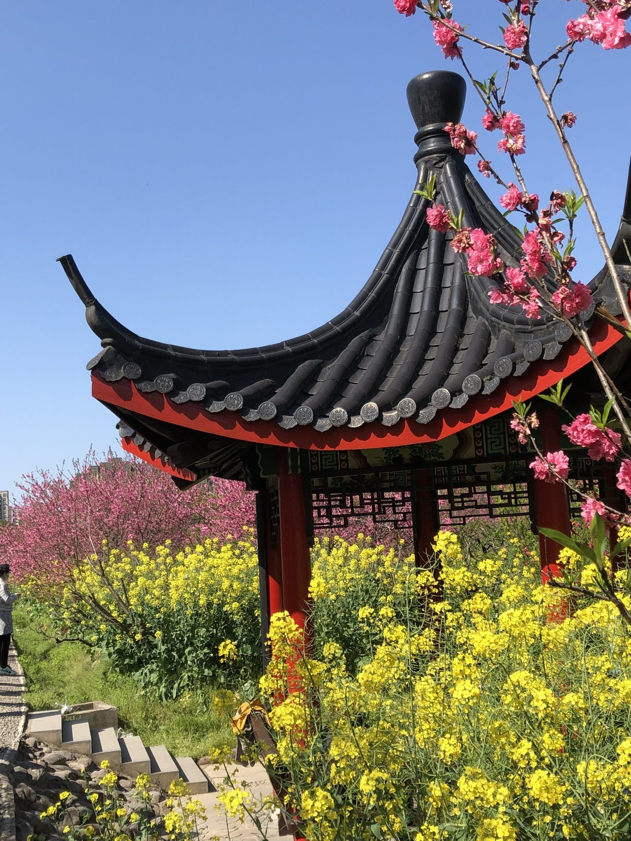 桃花村,这个富有传奇色彩的地方