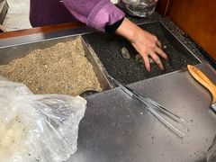 -叶氏麻糍(鼓浪屿店)