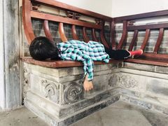 -迎泽公园