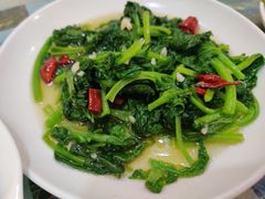 -乡土特色.冷锅鱼.牦牛肉汤锅