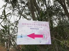 -大湾区中央湿地公园