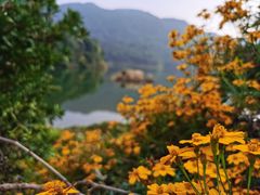 -广州市石门国家森林公园