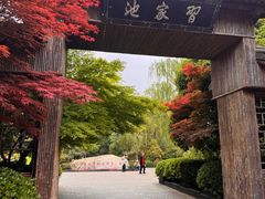 -习家池