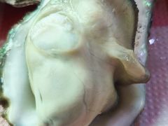 -小竹签烤肉纸包鱼小龙虾(唐韵路店)