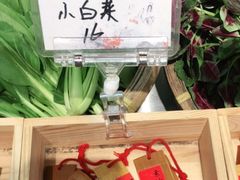 小白菜-醋果子炒大肠·老赣南客家菜(渔湾里店)