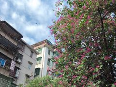 景观位-皮蛋弟砂锅店(总店)