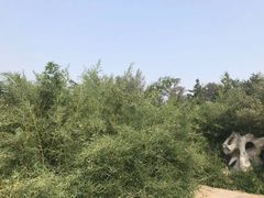 -莱西月湖公园