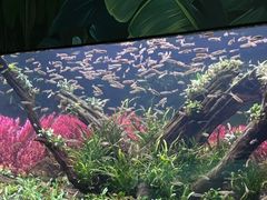 -海合安成都极地海洋公园