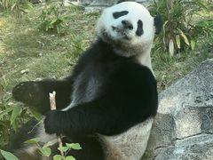 -武汉动物园