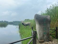 -溱湖国家湿地公园