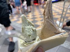 -野人先生现做冰淇淋(西安赛格店)