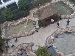 “温泉”水还蛮烫的-苏州香山国际大酒店