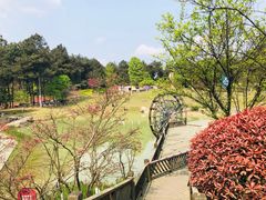 -铁山坪森林公园