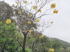 -云溪植物园