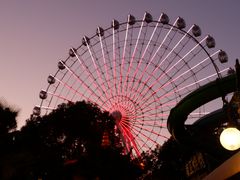 -横店影视城梦幻谷园区