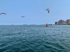 -大连金石滩国家旅游度假区
