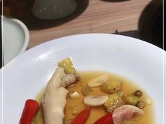 -探窝·竹笙椰子鸡(杨箕店)