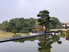 -苏宁钟山国际高尔夫酒店大堂酒廊