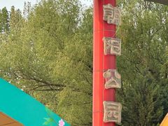 -the rug 飞毯 (朝阳公园店)