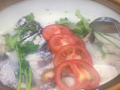 -全乐鱼馆·淳牌有机鱼直营店