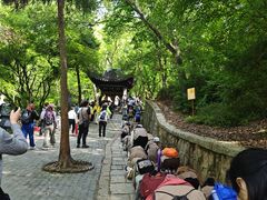 -灵岩山风景区