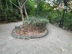 -九龙公园
