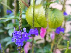 -西西弗书店(城西银泰城店)