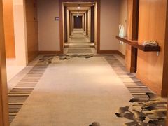 -上海浦东康桥绿地假日酒店