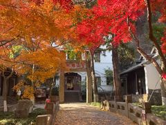 -狼山风景名胜区