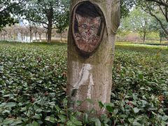 -白塘生态植物园