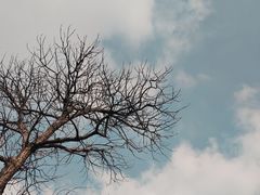 -树山生态村