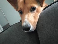 -湖南常德牛肉粉(翻身店)