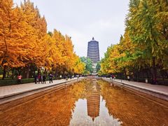 -玲珑塔公园