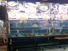 -陶缘一号·四季缘·老字号顺德菜·户外婚礼家宴(西滘店)