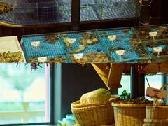 -亮欢寨酸汤鱼(沙冲路店)