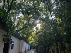 -台儿庄古城