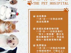 -宠福鑫康馨动物医院·骨科·眼科