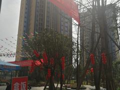 -陈记泸州酸菜豆花火锅(建设路店)