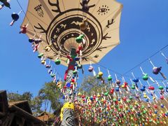 -西双版纳原始森林公园