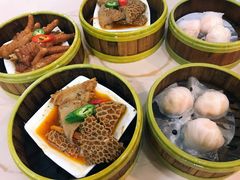 黑椒金钱肚-金凤酒楼(金陵路店)
