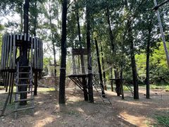 游乐设施-蟠龙山长城景区