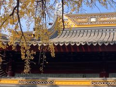 -西园戒幢律寺