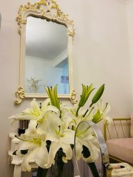 -美肤盾祛痘·问题肌头疗管理中心