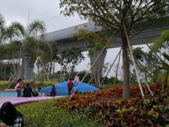 -宝安西湾红树林湿地公园