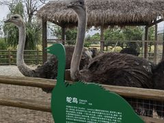 -苏州太湖西山岛开心农场