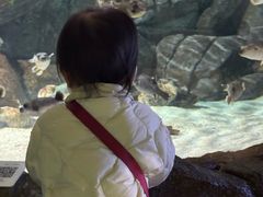 -福州罗源湾海洋世界旅游区