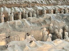 -秦始皇帝陵博物院(兵马俑)