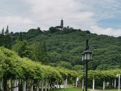 -苏州上方山国家森林公园