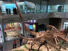 -自贡恐龙博物馆
